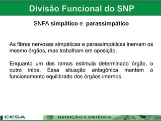 SNPA simpático e parassimpático
As fibras nervosas simpáticas e parassimpáticas inervam os
mesmo órgãos, mas trabalham em oposição.
Enquanto um dos ramos estimula determinado órgão, o
outro inibe. Essa situação antagônica mantém o
funcionamento equilibrado dos órgãos internos.
 