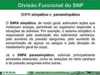 SNPA simpático e parassimpático
O SNPA simpático, de modo geral, estimulam ações que
mobilizam energia, permitindo ao organismo responder a
situações de estresse. Por exemplo, o sistema simpático é
responsável pela aceleração dos batimentos cardíacos,
pelo aumento da pressão sanguínea, pelo aumento da
concentração de açúcar no sangue e pela ativação do
metabolismo geral do corpo.
Já o SNPA parassimpático, estimula principalmente
atividades relaxantes, como as reduções do ritmo cardíaco
e da pressão sanguínea entre outras.
 