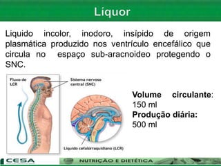 Liquido incolor, inodoro, insípido de origem
plasmática produzido nos ventrículo encefálico que
circula no espaço sub-aracnoideo protegendo o
SNC.
Volume circulante:
150 ml
Produção diária:
500 ml
 