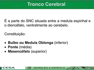 É a parte do SNC situada entre a medula espinhal e
o diencéfalo, ventralmente ao cerebelo.
Constituição:
 Bulbo ou Medula Oblonga (inferior)
 Ponte (média)
 Mesencéfalo (superior)
 