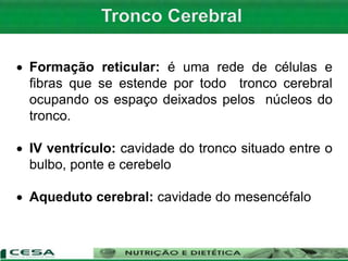  Formação reticular: é uma rede de células e
fibras que se estende por todo tronco cerebral
ocupando os espaço deixados pelos núcleos do
tronco.
 IV ventrículo: cavidade do tronco situado entre o
bulbo, ponte e cerebelo
 Aqueduto cerebral: cavidade do mesencéfalo
 