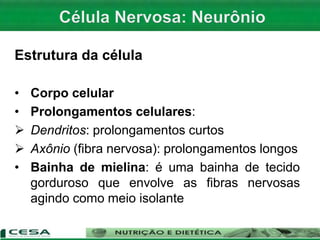 Estrutura da célula
• Corpo celular
• Prolongamentos celulares:
 Dendritos: prolongamentos curtos
 Axônio (fibra nervosa): prolongamentos longos
• Bainha de mielina: é uma bainha de tecido
gorduroso que envolve as fibras nervosas
agindo como meio isolante
 