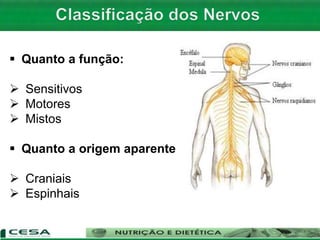  Quanto a função:
 Sensitivos
 Motores
 Mistos
 Quanto a origem aparente
 Craniais
 Espinhais
 