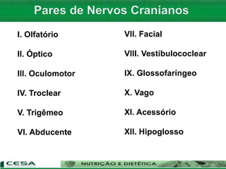 I. Olfatório
II. Óptico
III. Oculomotor
IV. Troclear
V. Trigêmeo
VI. Abducente
VII. Facial
VIII. Vestíbulococlear
IX. Glossofaríngeo
X. Vago
XI. Acessório
XII. Hipoglosso
 