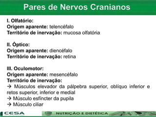 I. Olfatório:
Origem aparente: telencéfalo
Território de inervação: mucosa olfatória
II. Óptico:
Origem aparente: diencéfalo
Território de inervação: retina
III. Oculomotor:
Origem aparente: mesencéfalo
Território de inervação:
 Músculos elevador da pálpebra superior, oblíquo inferior e
retos superior, inferior e medial
 Músculo esfíncter da pupila
 Músculo ciliar
 