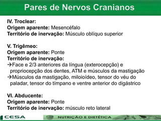 IV. Troclear:
Origem aparente: Mesencéfalo
Território de inervação: Músculo oblíquo superior
V. Trigêmeo:
Origem aparente: Ponte
Território de inervação:
Face e 2/3 anteriores da língua (exterocepção) e
propriocepção dos dentes, ATM e músculos da mastigação
Músculos da mastigação, miloioídeo, tensor do véu do
paladar, tensor do tímpano e ventre anterior do digástrico
VI. Abducente:
Origem aparente: Ponte
Território de inervação: músculo reto lateral
 