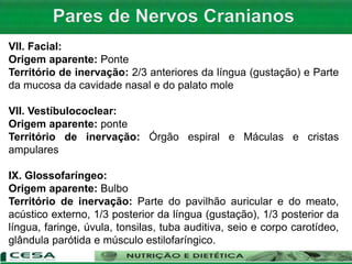 VII. Facial:
Origem aparente: Ponte
Território de inervação: 2/3 anteriores da língua (gustação) e Parte
da mucosa da cavidade nasal e do palato mole
VII. Vestíbulococlear:
Origem aparente: ponte
Território de inervação: Órgão espiral e Máculas e cristas
ampulares
IX. Glossofaríngeo:
Origem aparente: Bulbo
Território de inervação: Parte do pavilhão auricular e do meato,
acústico externo, 1/3 posterior da língua (gustação), 1/3 posterior da
língua, faringe, úvula, tonsilas, tuba auditiva, seio e corpo carotídeo,
glândula parótida e músculo estilofaríngico.
 