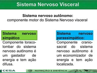 Sistema nervoso autônomo:
componente motor do Sistema Nervoso visceral
Sistema nervoso
simpático
Componente toraco-
lombar do sistema
nervoso autônomo é
um gastador de
energia e tem ação
difusa.
Sistema nervoso
parassimpático:
Componente cranio-
sacral do sistema
nervoso autônomo é
um economizador de
energia e tem ação
localizada.
 