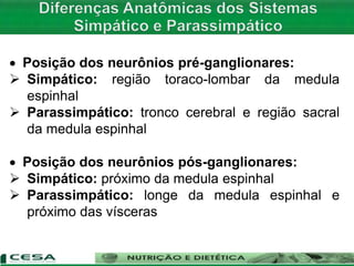  Posição dos neurônios pré-ganglionares:
 Simpático: região toraco-lombar da medula
espinhal
 Parassimpático: tronco cerebral e região sacral
da medula espinhal
 Posição dos neurônios pós-ganglionares:
 Simpático: próximo da medula espinhal
 Parassimpático: longe da medula espinhal e
próximo das vísceras
 