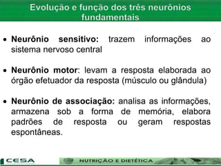  Neurônio sensitivo: trazem informações ao
sistema nervoso central
 Neurônio motor: levam a resposta elaborada ao
órgão efetuador da resposta (músculo ou glândula)
 Neurônio de associação: analisa as informações,
armazena sob a forma de memória, elabora
padrões de resposta ou geram respostas
espontâneas.
 