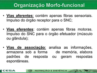 • Vias aferentes: contém apenas fibras sensoriais.
Impulso do órgão receptor para o SNC;
• Vias eferentes: contém apenas fibras motoras.
Impulso do SNC para o órgão efetuador (músculo
ou glândula);
• Vias de associação: analisa as informações,
armazena sob a forma de memória, elabora
padrões de resposta ou geram respostas
espontâneas.
 