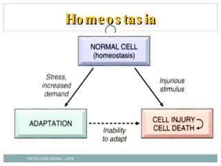 Homeostasia PATOLOGIA GERAL - 2009 