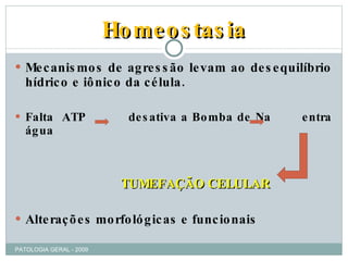 Mecanismos de agressão levam ao desequilíbrio hídrico e iônico da célula. Falta  ATP  desativa a Bomba de Na   entra água  TUMEFAÇÃO CELULAR Alterações morfológicas e funcionais Homeostasia PATOLOGIA GERAL - 2009 