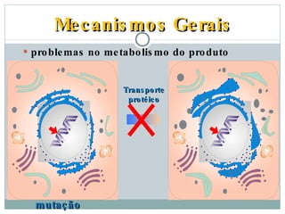 Mecanismos Gerais problemas no metabolismo do produto celular mutação Transporte protéico 
