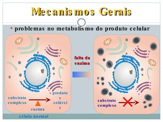 Mecanismos Gerais problemas no metabolismo do produto celular substrato complexo falta da enzima substrato complexo produtos solúveis enzima célula normal 