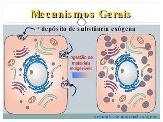 Mecanismos Gerais depósito de substância exógena ingestão de materiais indigeríveis acúmulo de material exógeno 