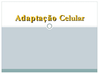 Adaptação  Celular 