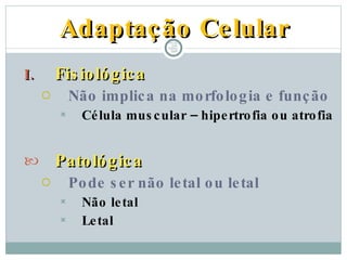 Adaptação Celular Fisiológica Não implica na morfologia e função Célula muscular – hipertrofia ou atrofia Patológica Pode ser não letal ou letal Não letal Letal PATOLOGIA GERAL - 2009 