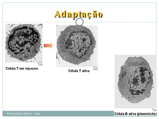 Adaptação PATOLOGIA GERAL - 2009 