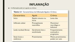 INFLAMAÇÃO
■ A inflamação pode ser aguda ou crônica:
 