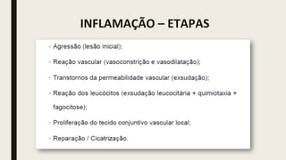 INFLAMAÇÃO – ETAPAS
 