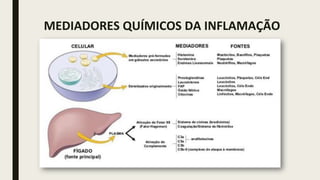 MEDIADORES QUÍMICOS DA INFLAMAÇÃO
 
