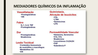 MEDIADORES QUÍMICOS DA INFLAMAÇÃO
 
