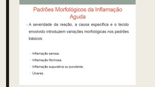 AULA 06_INFLAMAÇÃO.pdf