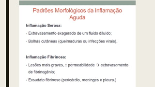 AULA 06_INFLAMAÇÃO.pdf