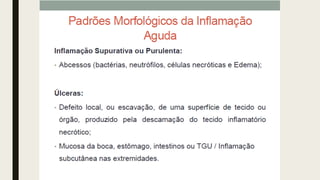 AULA 06_INFLAMAÇÃO.pdf