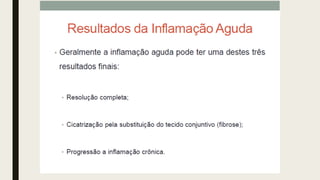 AULA 06_INFLAMAÇÃO.pdf