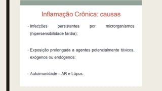 AULA 06_INFLAMAÇÃO.pdf
