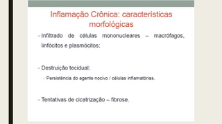 AULA 06_INFLAMAÇÃO.pdf