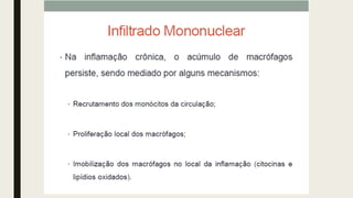 AULA 06_INFLAMAÇÃO.pdf