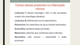AULA 06_INFLAMAÇÃO.pdf
