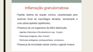 AULA 06_INFLAMAÇÃO.pdf