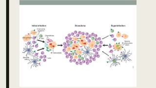 AULA 06_INFLAMAÇÃO.pdf