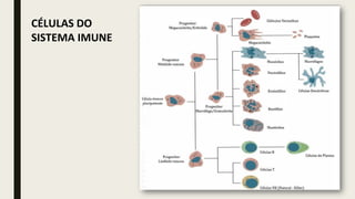 CÉLULAS DO
SISTEMA IMUNE
 