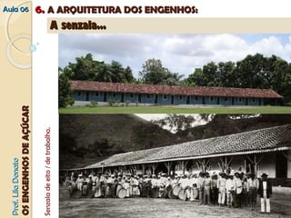 PPrrooff.. LLiillaa DDoonnaattoo 
OOSS EENNGGEENNHHOOSS DDEE AAÇÇÚÚCCAARR 
AAuullaa 0066 66.. AA AARRQQUUIITTEETTUURRAA DDOOSS EENNGGEENNHHOOSS:: 
AA sseennzzaallaa...... 
Senzala de eito / de trabalho. 
 