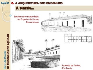 AAuullaa 0066 66.. AA AARRQQUUIITTEETTUURRAA DDOOSS EENNGGEENNHHOOSS:: 
PPrrooff.. LLiillaa DDoonnaattoo 
OOSS EENNGGEENNHHOOSS DDEE AAÇÇÚÚCCAARR 
AA sseennzzaallaa...... 
Senzala sem avarandado, 
no Engenho de Uruaê, 
Pernambuco. 
Fazenda do Pinhal, 
São Paulo. 
 