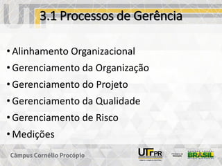 3.1 Processos de Gerência
• Alinhamento Organizacional
• Gerenciamento da Organização
• Gerenciamento do Projeto
• Gerenciamento da Qualidade
• Gerenciamento de Risco
• Medições
 