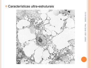 Características ultra-estruturais Pato Geral - CGF - 2009/2 13-15/10/2009 