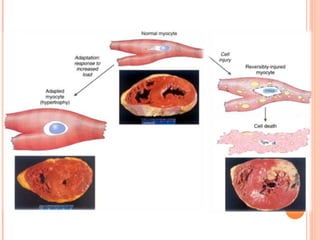 13-15/10/2009 Pato Geral - CGF - 2009/2 