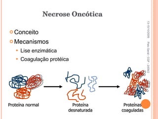 Conceito Mecanismos Lise enzimática Coagulação protéica 13-15/10/2009 Pato Geral - CGF - 2009/2 Proteína normal Proteína desnaturada Proteínas coaguladas 