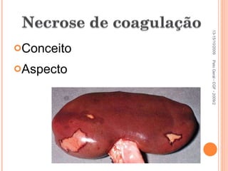 Conceito Aspecto 13-15/10/2009 Pato Geral - CGF - 2009/2 