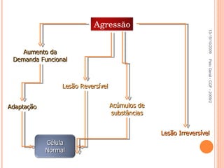 Pato Geral - CGF - 2009/2 Lesão Reversível Aumento da Demanda Funcional Adaptação Lesão Irreversível Acúmulos de substâncias 13-15/10/2009 Agressão Célula Normal 