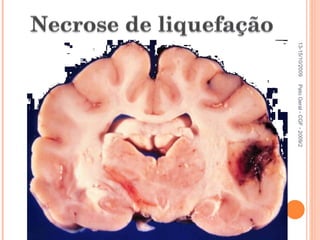 Pato Geral - CGF - 2009/2 13-15/10/2009 