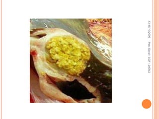 Pato Geral - CGF - 2009/2 13-15/10/2009 