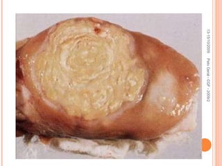 13-15/10/2009 Pato Geral - CGF - 2009/2 