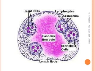 13-15/10/2009 Pato Geral - CGF - 2009/2 